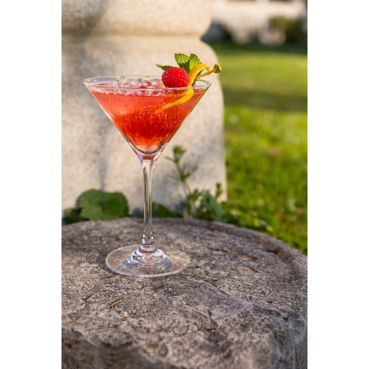 Calice coppa cocktail in metacrilato righe sottili v250 ml d11.8 h18 cm