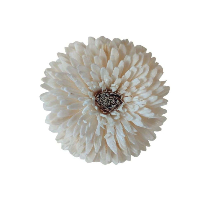 Testa gerbera panna d6 cm