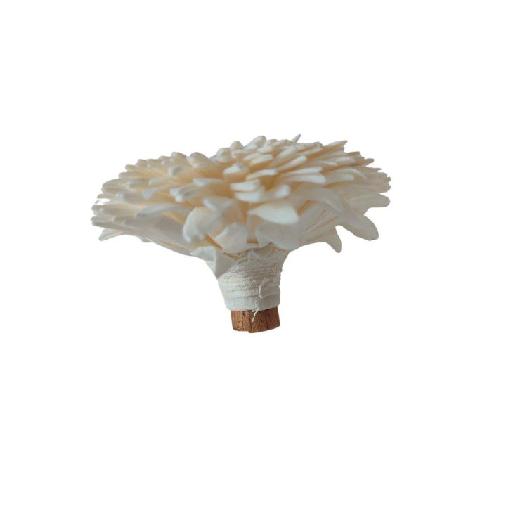 Testa gerbera panna d6 cm