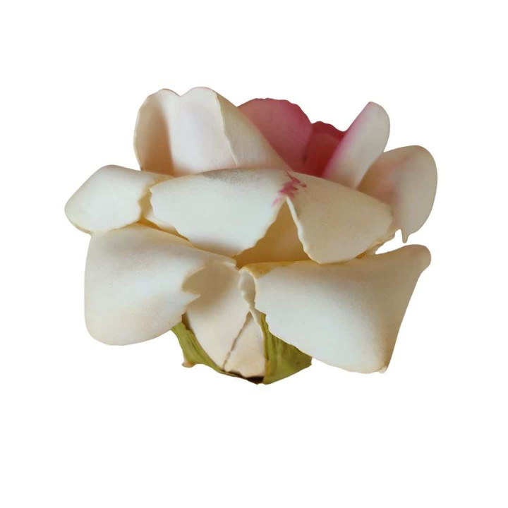Set 4 corolle di rosa aperte panna/rosa d8 h7 cm
