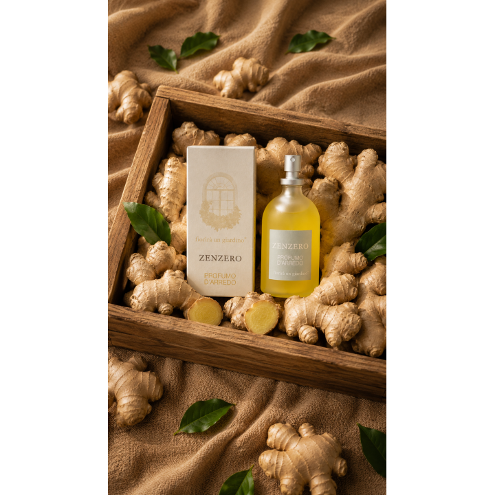 Parfum d'ambiance gingembre v110 ml