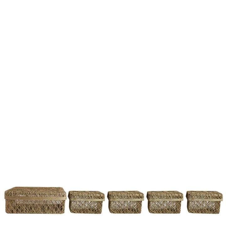 Set 5 scatole rettangolari aggrovigliate verde 33 x 25 h12 cm